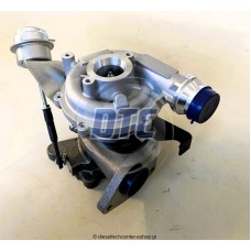 Diesel Pumps 795637-0001-new